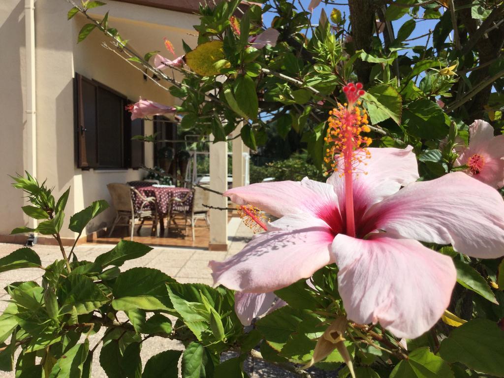 Villa Ro Porto Columbu - Perd'E Sali 외부 사진