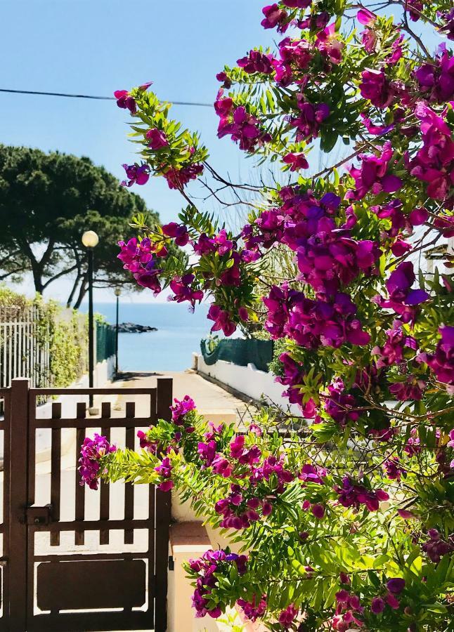 Villa Ro Porto Columbu - Perd'E Sali 외부 사진